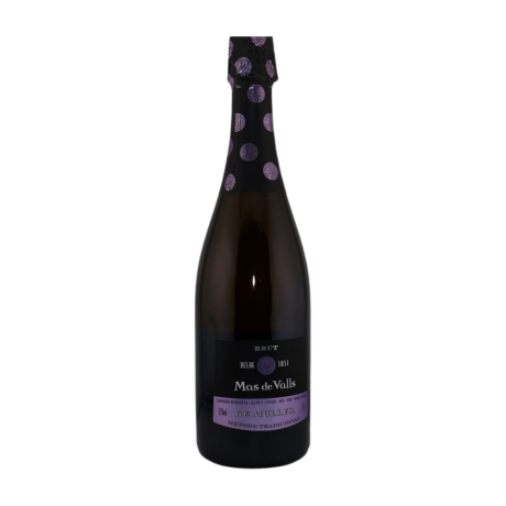 Przejdź do produktu Wino mus.De Muller Mas de Valls Brut 0,75l