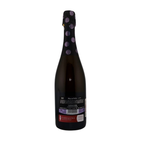 Przejdź do produktu Wino mus.De Muller Mas de Valls Brut 0,75l