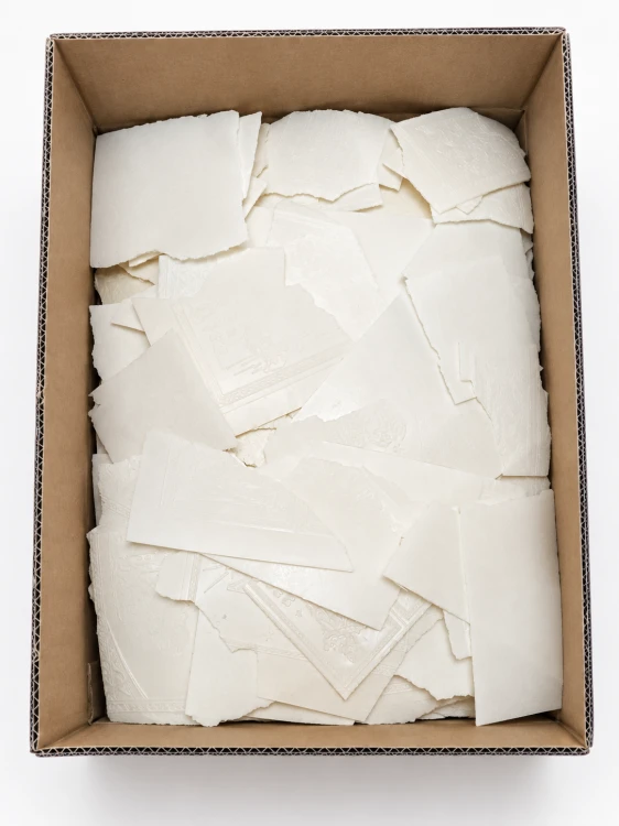 B54F00A0-1702-46C1-BC41-97481E1ECD78.PNG